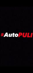 Autosallon PULI