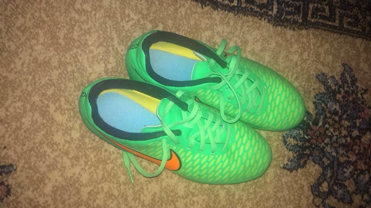 magista originali