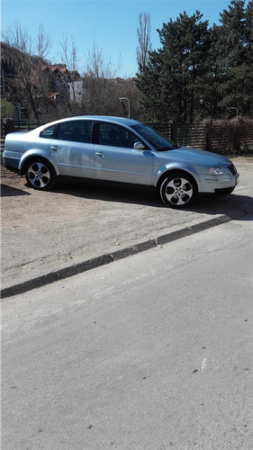 shitei passati 