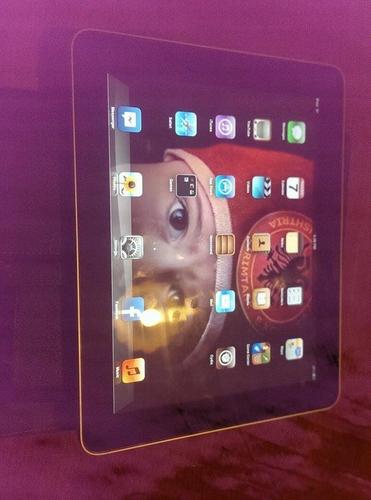 iPad 16G