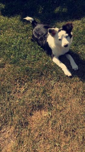 Lilly