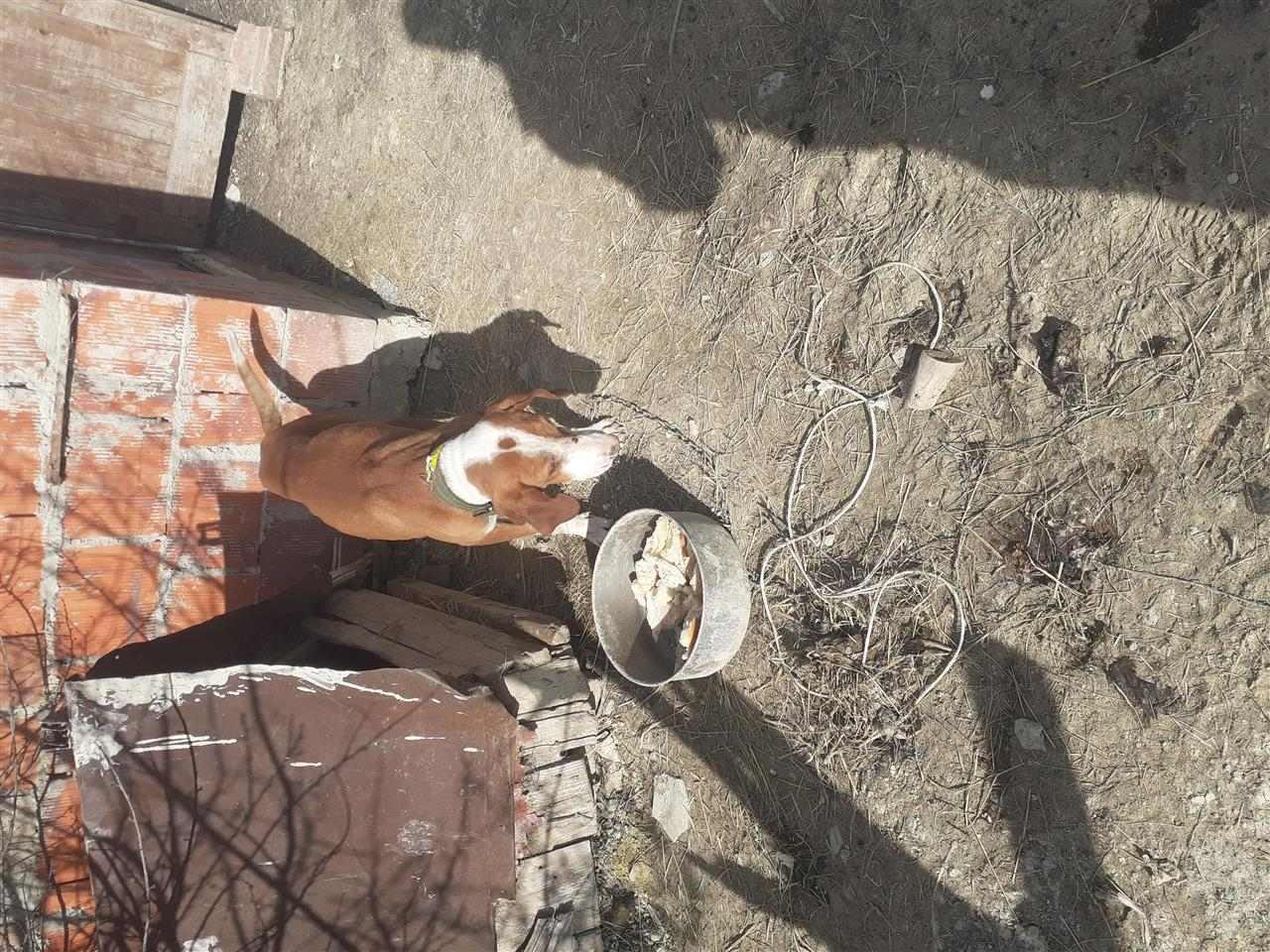 Zagar