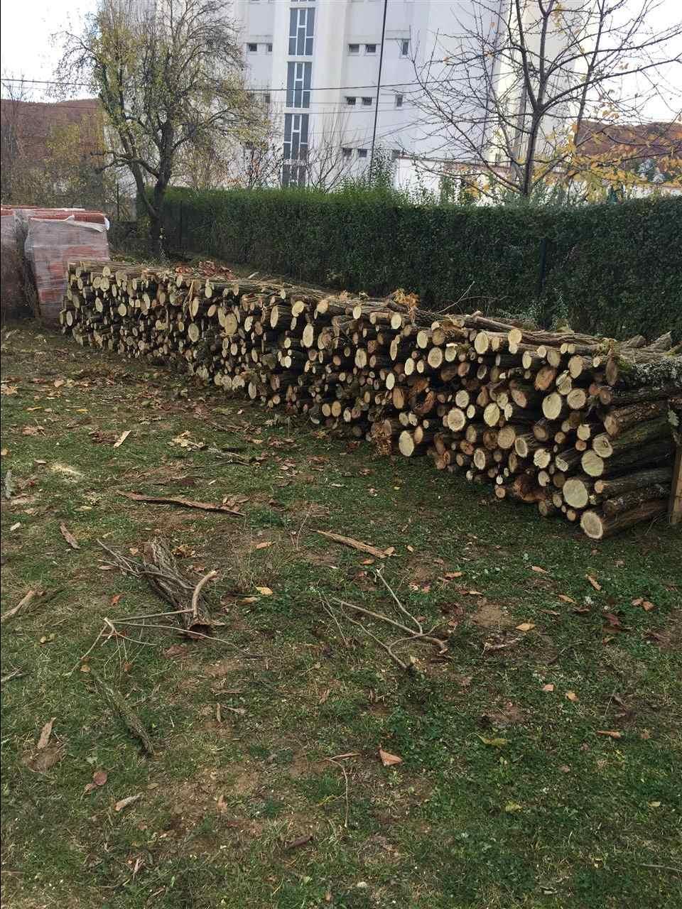 Shiten-drut-
