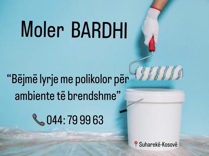 Moler - oferte 