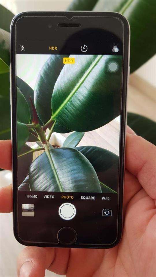 iPhone-6