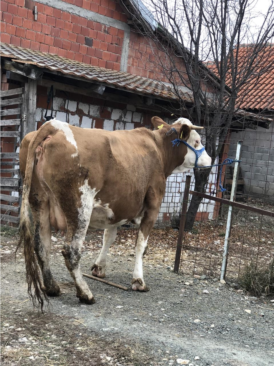 Lop-bars-