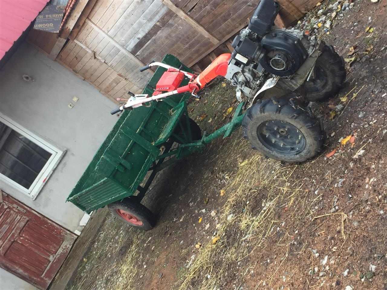 Shitet