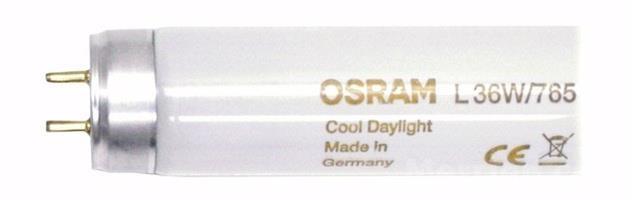 DRITA NEONKA OSRAM L36W/765 MADE IN GERMANY | Besianë