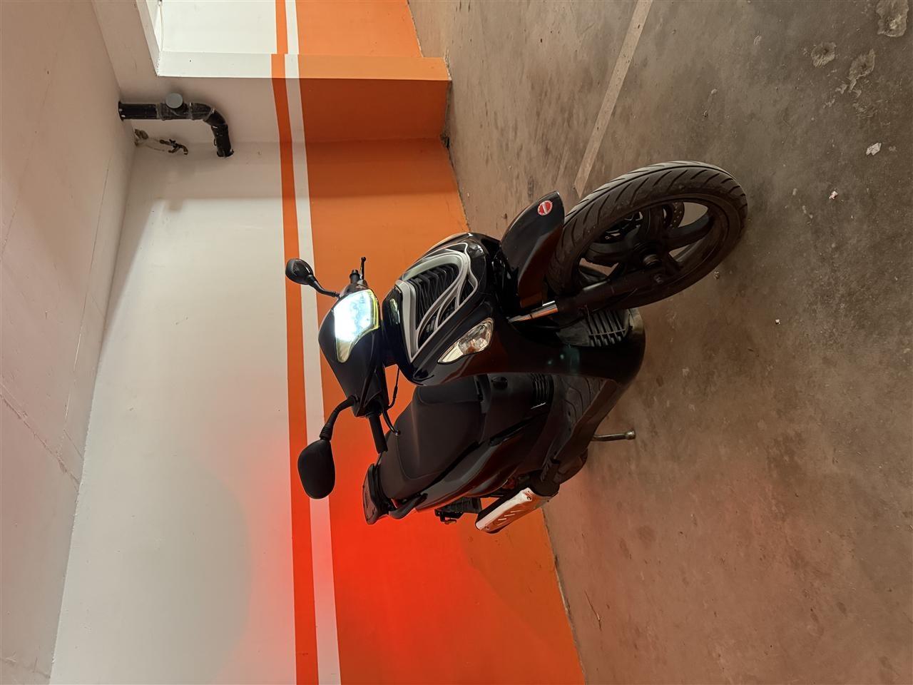 Lintex-300cc