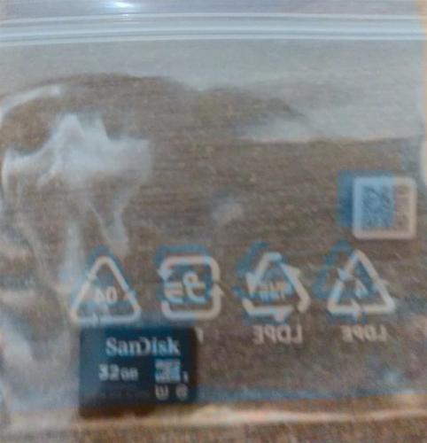 SD Card