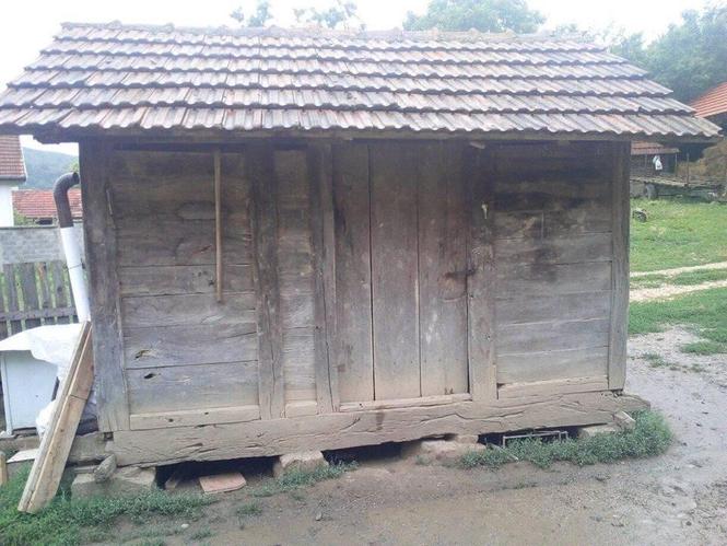 Shitet Hamari 