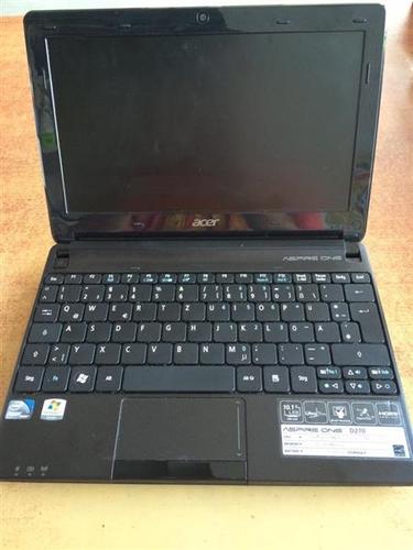  Acer