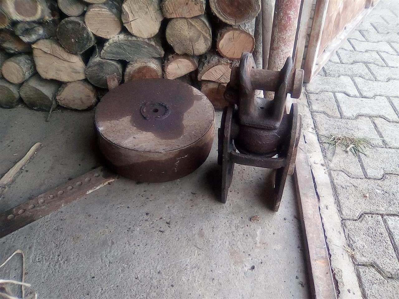 prokolic