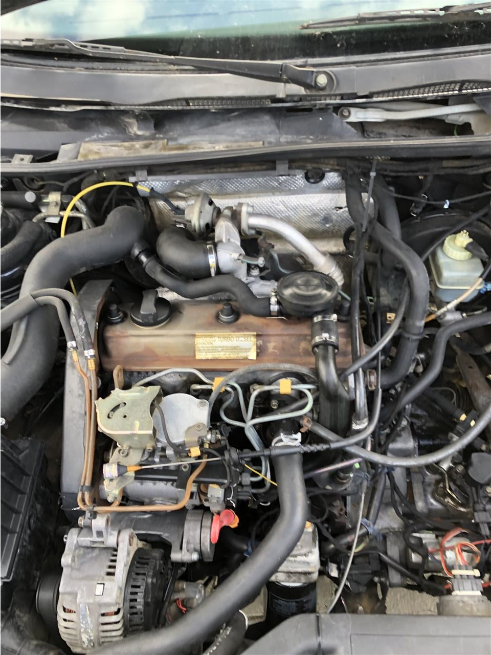 VW-Passat