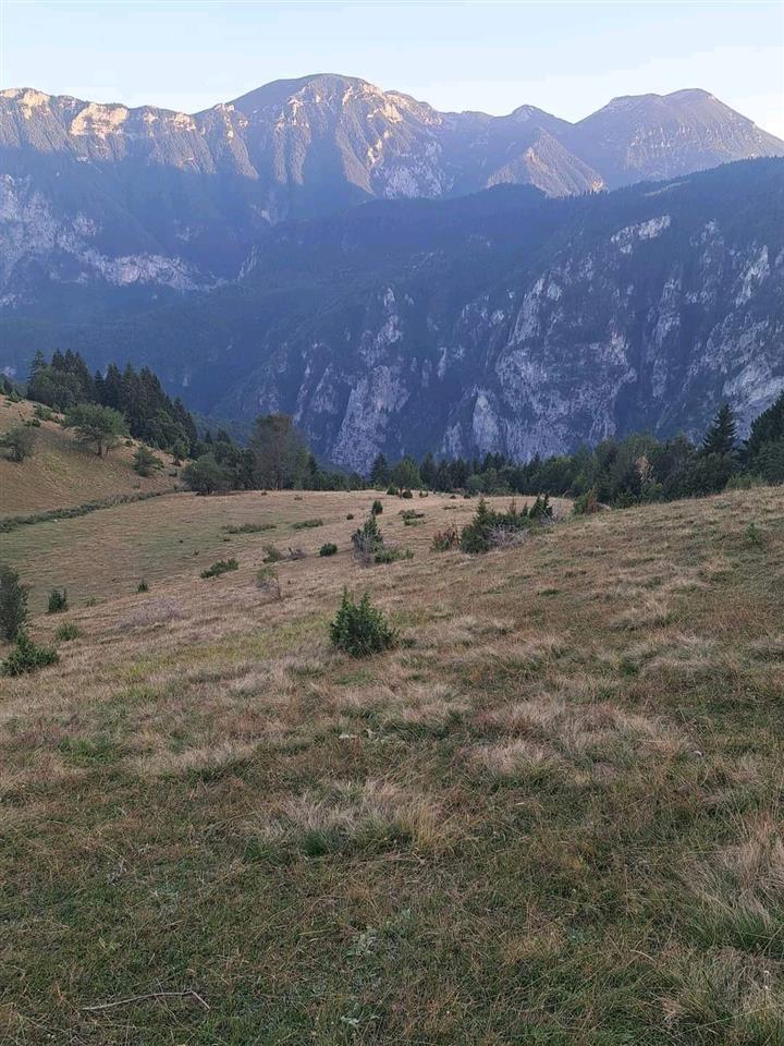 --SHITET-TOKA-138ARI---FSHATI-SHTUPEQ-I-VOGEL----RUGOVË--