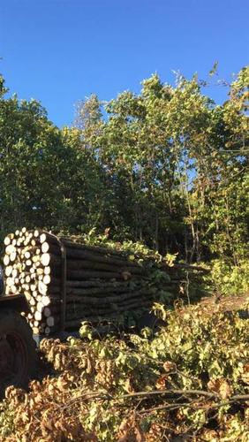 Dru