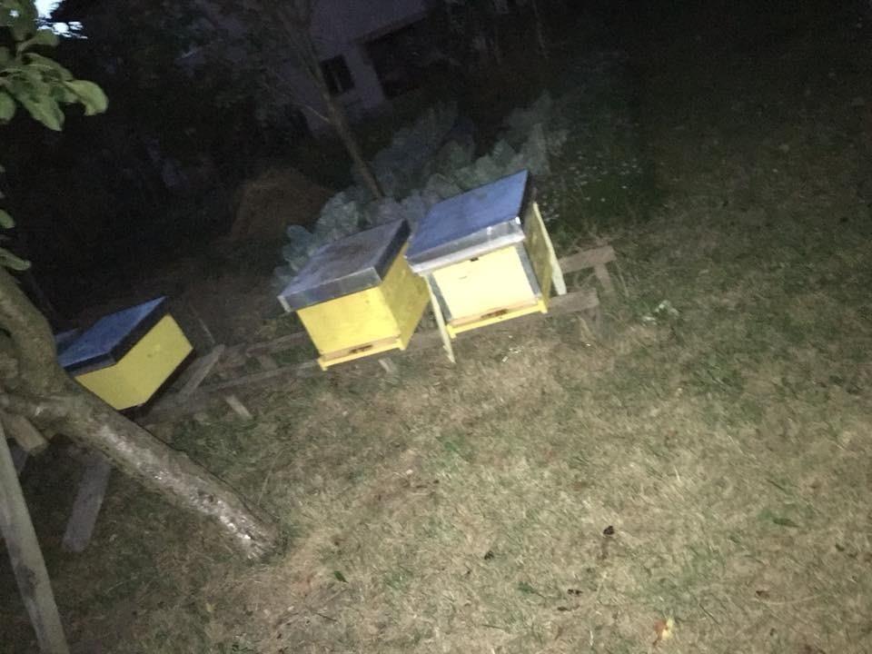 Bletê