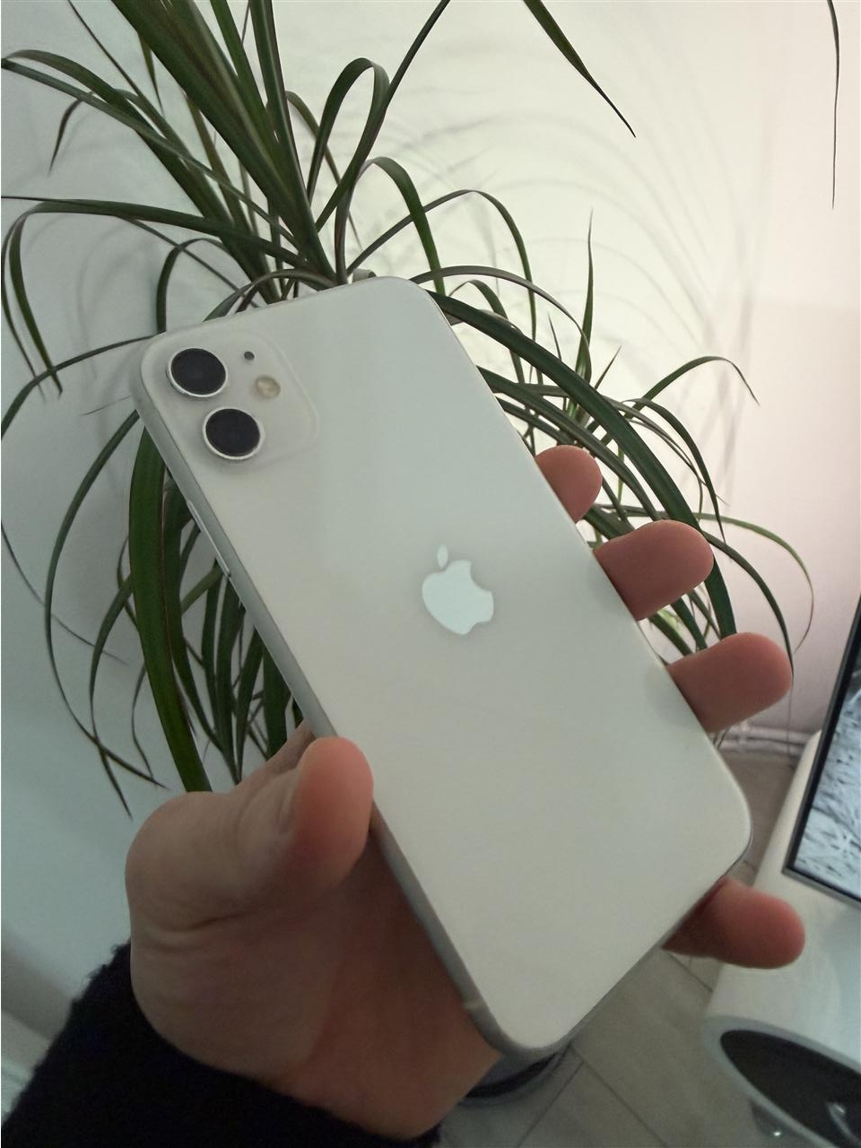 iphone-11-CE