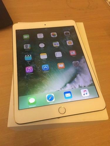 iPad mini 3