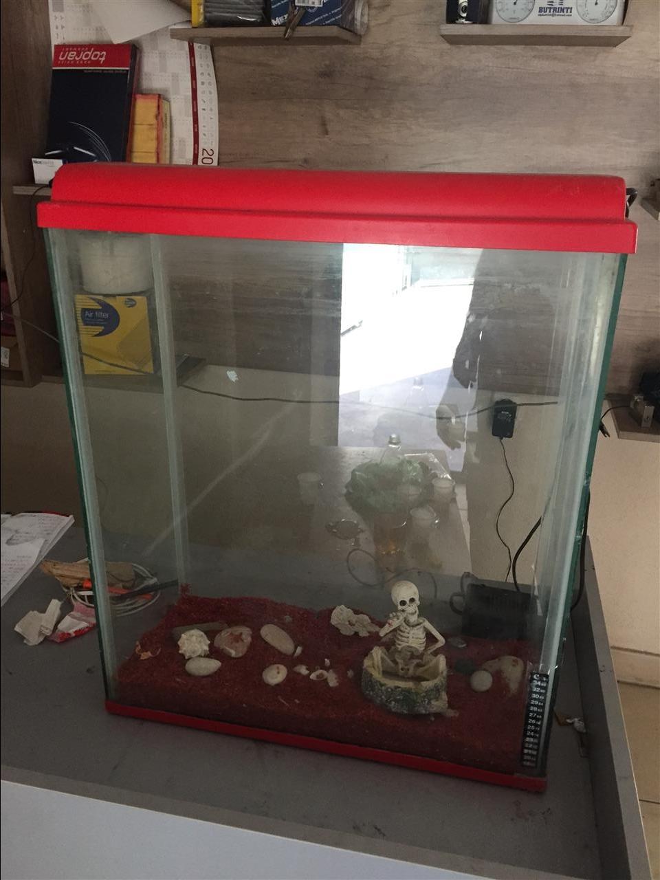 Akuarium-