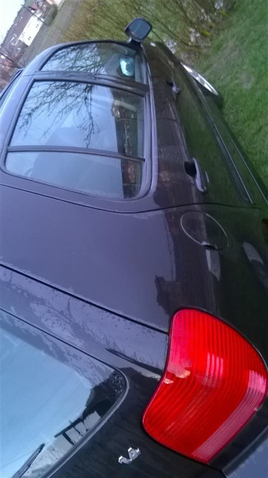polo-