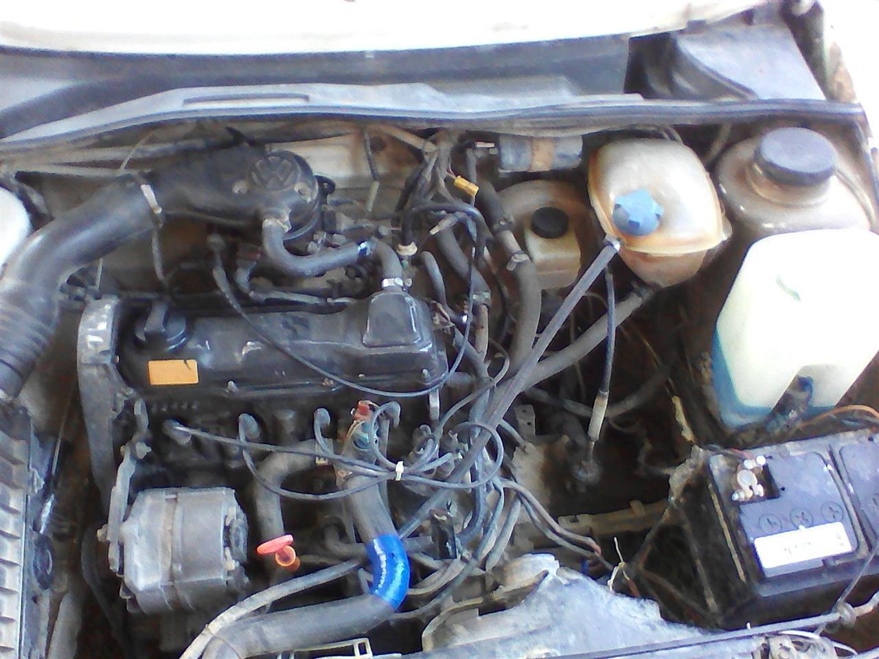 golf2