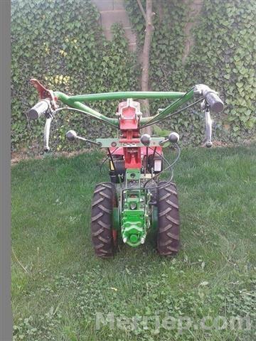 goldon-