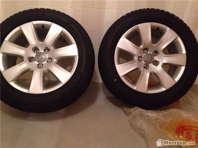 Fellne--audi-