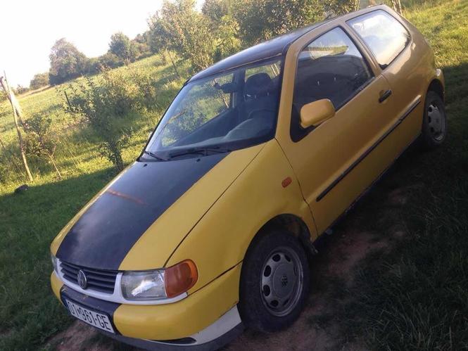 Polo 