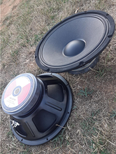 Basa 12 inch 