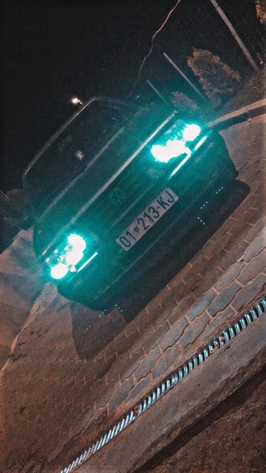 jetta