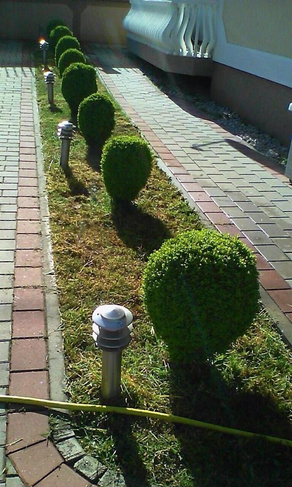 Punoj