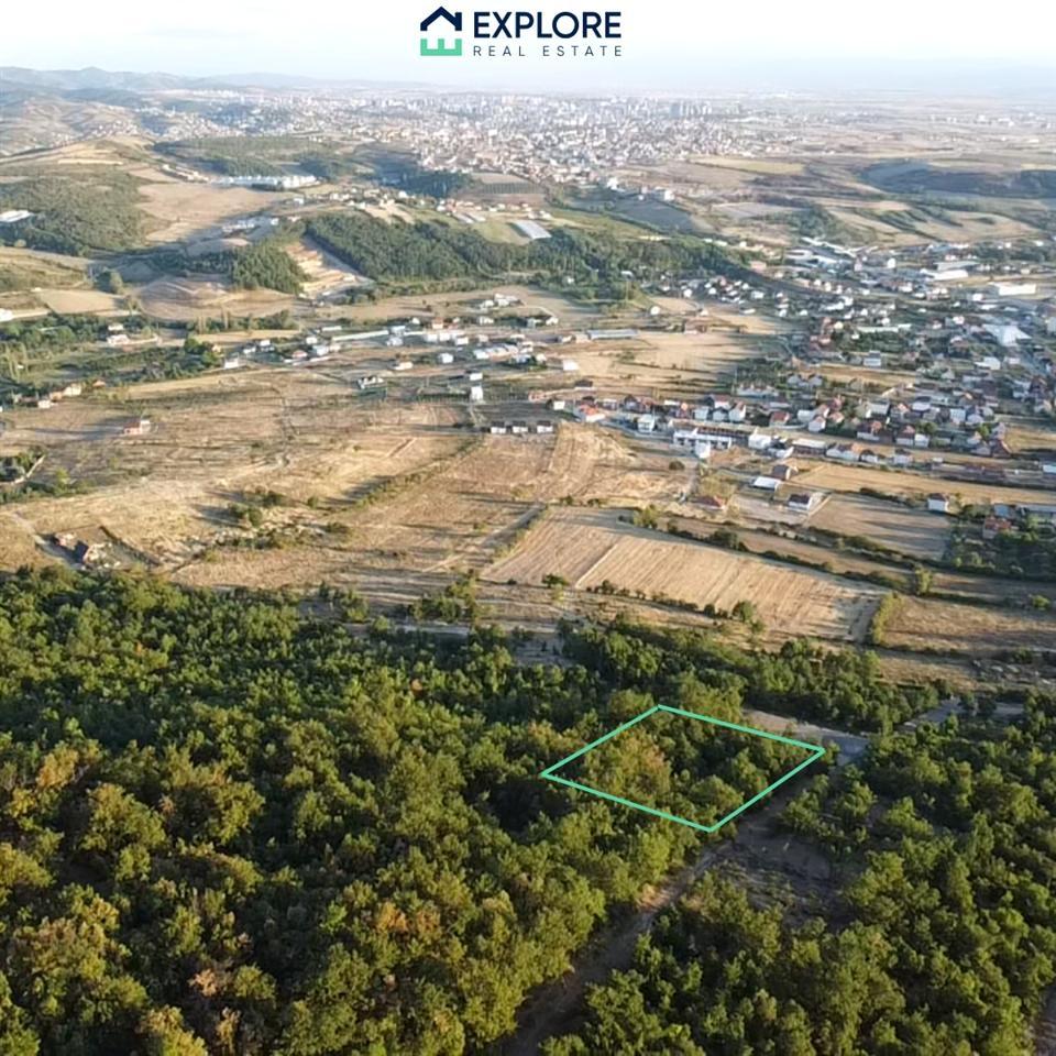 Trualli-ne-shitje
