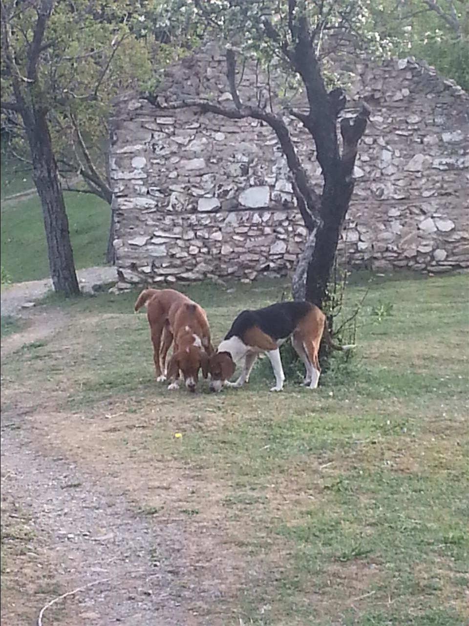 Zagar