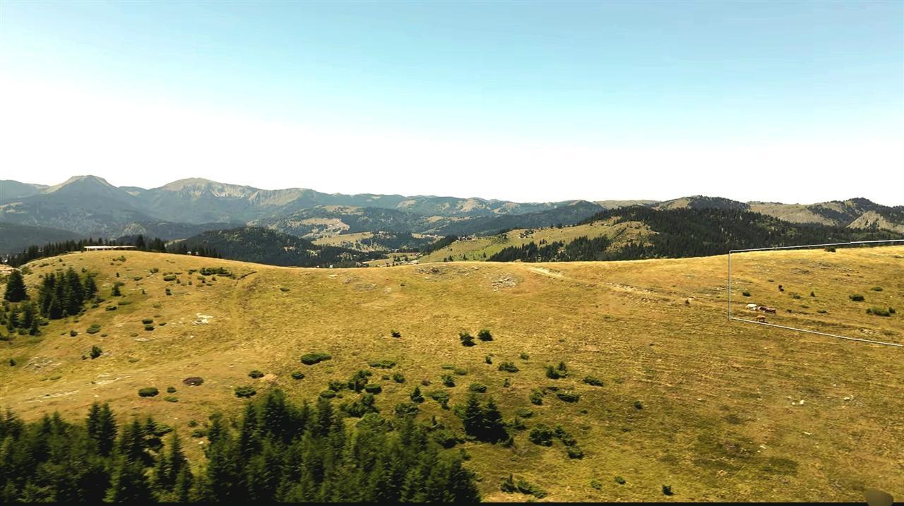 Tokë-për-Shitje-në-Hajlë-të-Koshutanit-Rugovë-Pejë