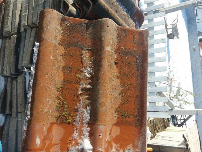 Shiten