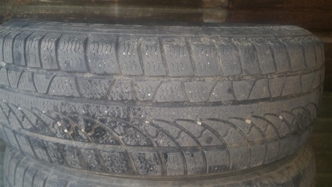 Goma-dimri-1956515