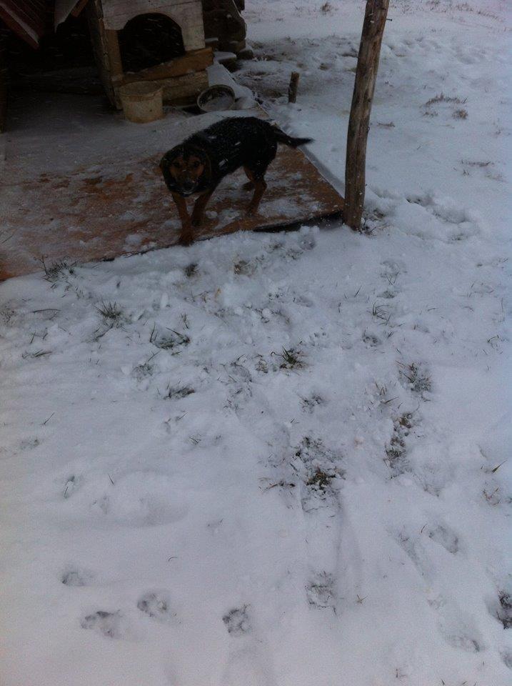 Zagar-