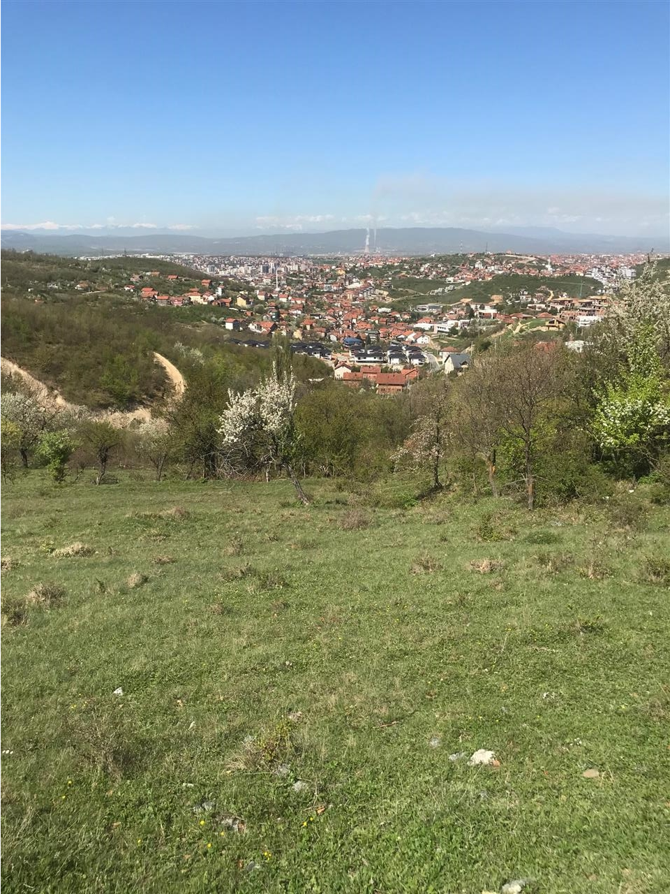 Trolli-ne-Sofali