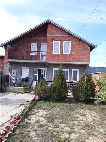 Shes