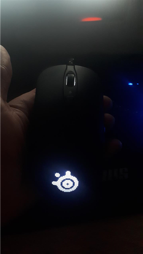 Maus SteelSeries Raw