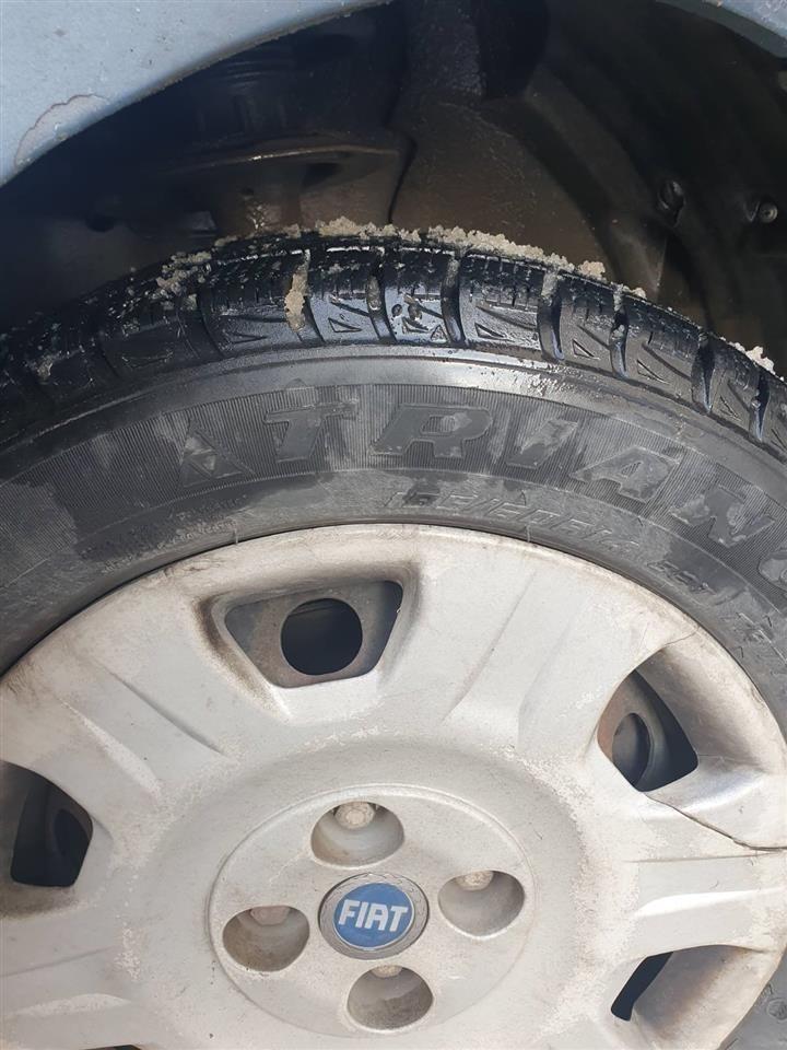 Shiten-gomat-e-dimrit