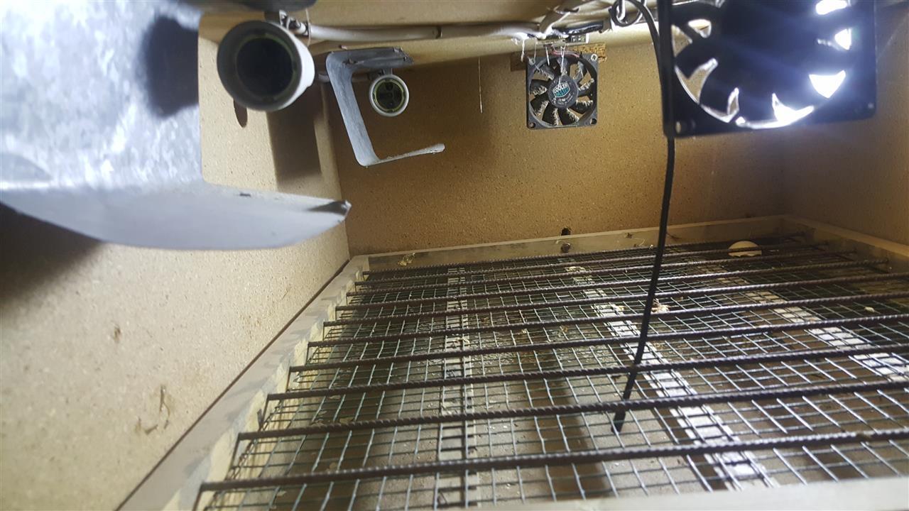 Inkubator