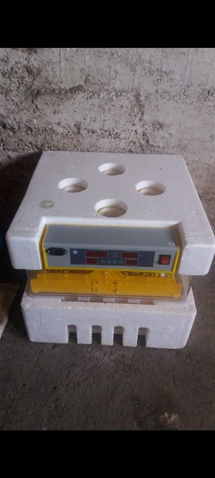 Inkubator