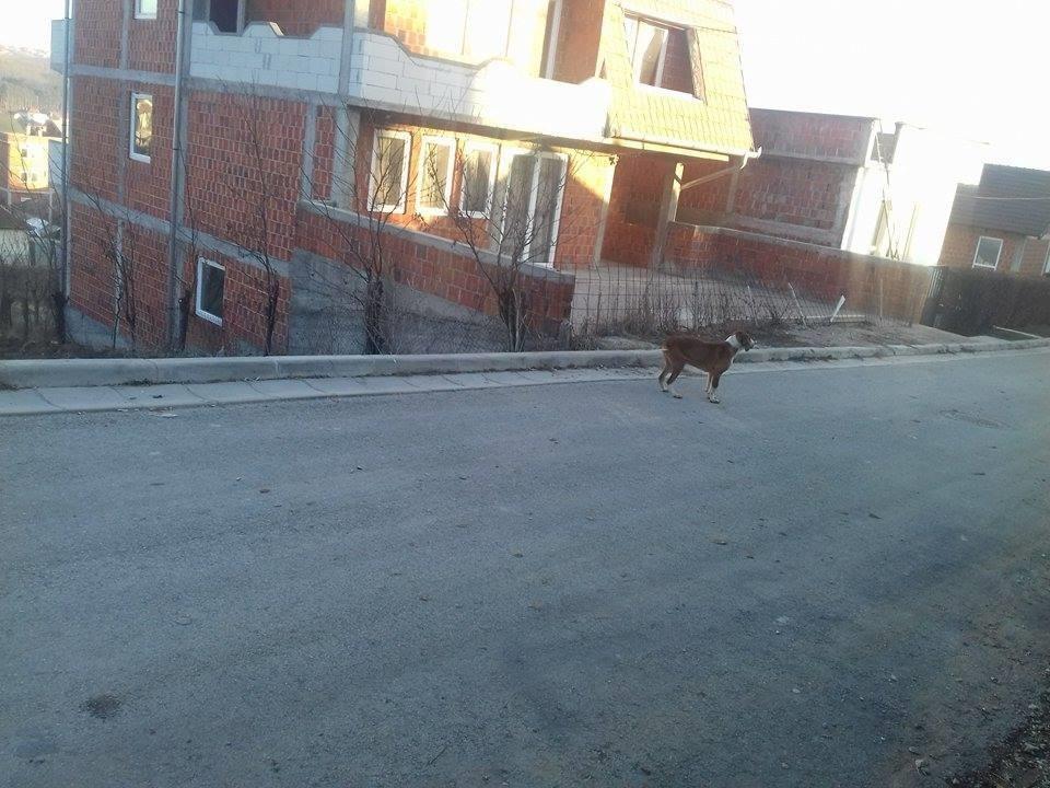 ZAGAR