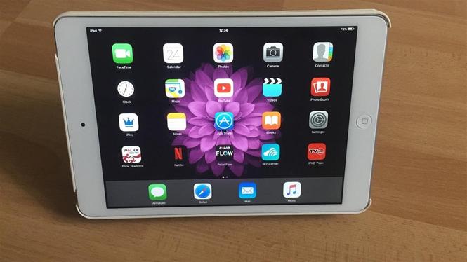 iPad Mini 