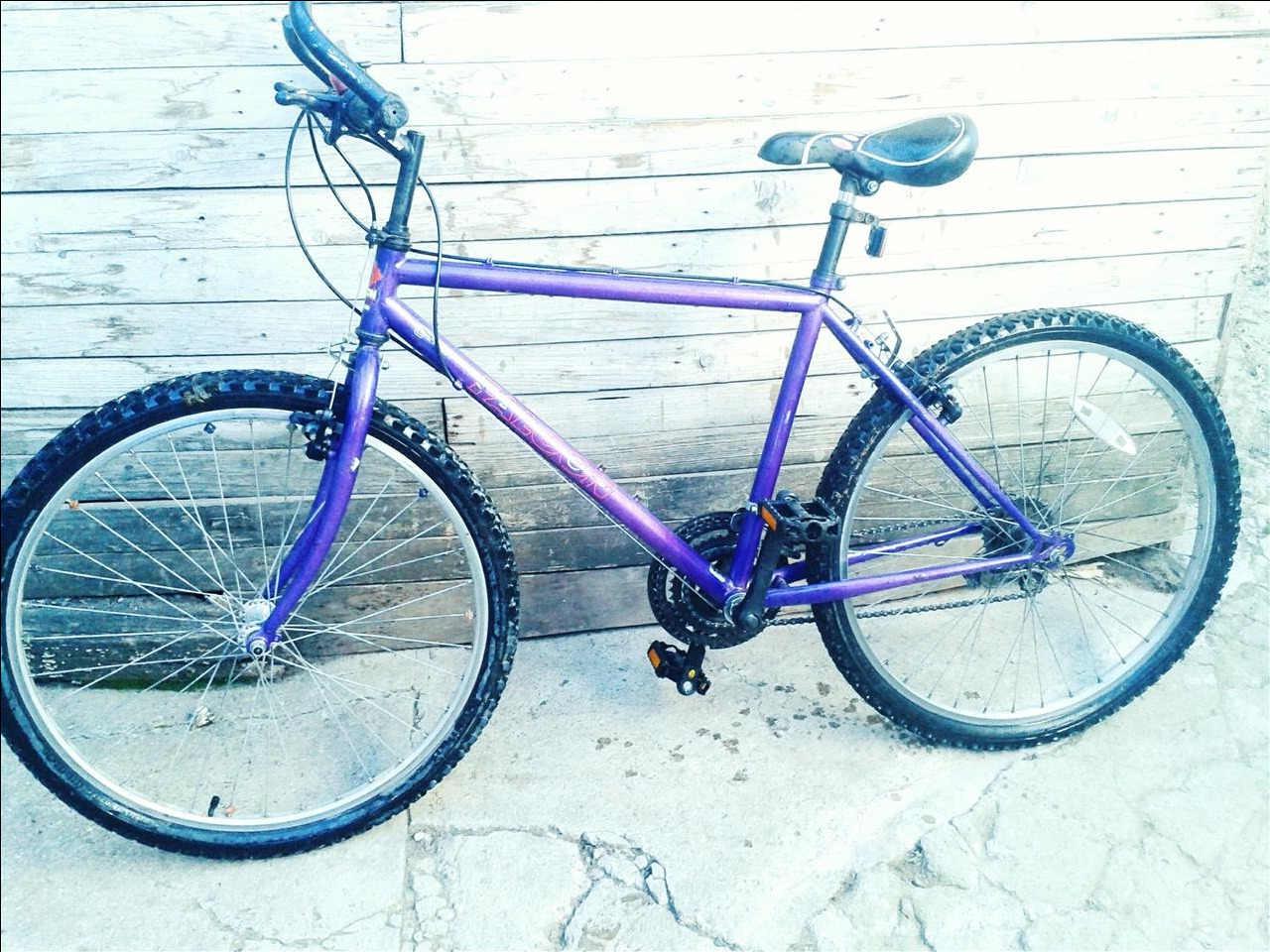 Shimanoo