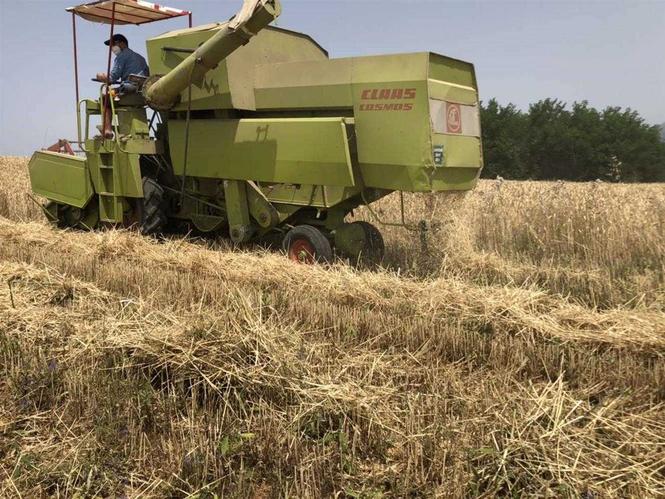 Traktor 