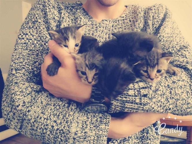 Macat