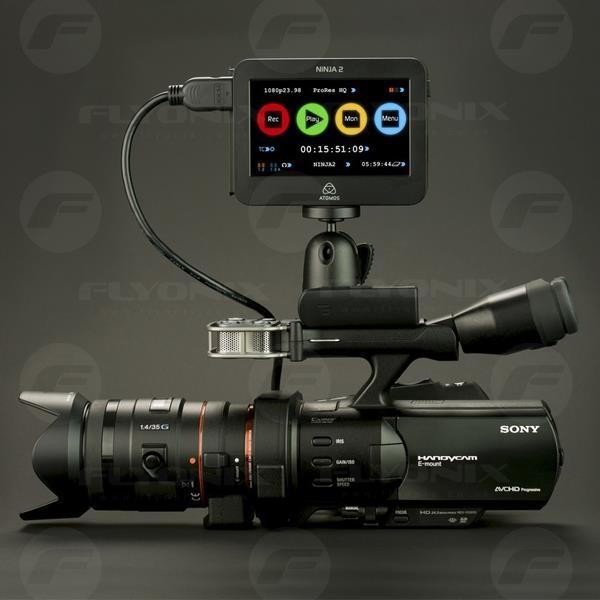 atomos-ninja-2
